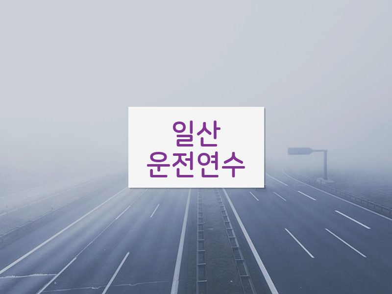일산운전연수 후기
