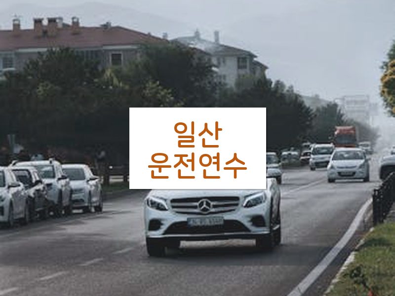 일산운전연수 후기