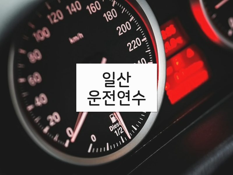 일산운전연수 후기