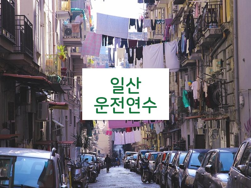 일산운전연수 후기