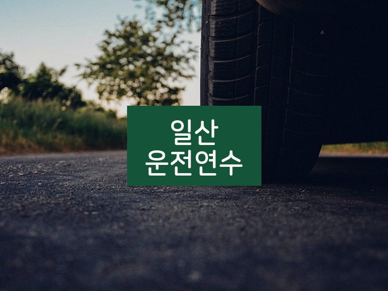일산운전연수 후기