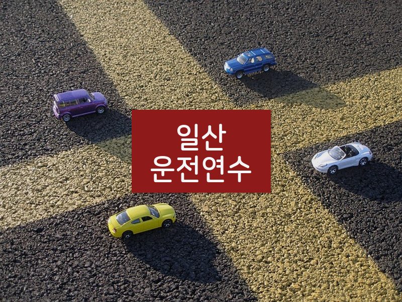 일산운전연수 후기