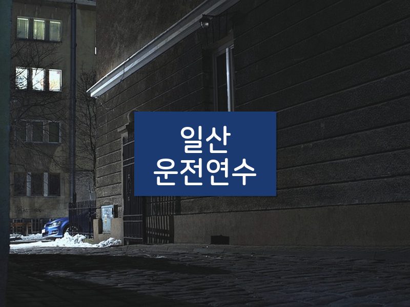 일산운전연수 후기