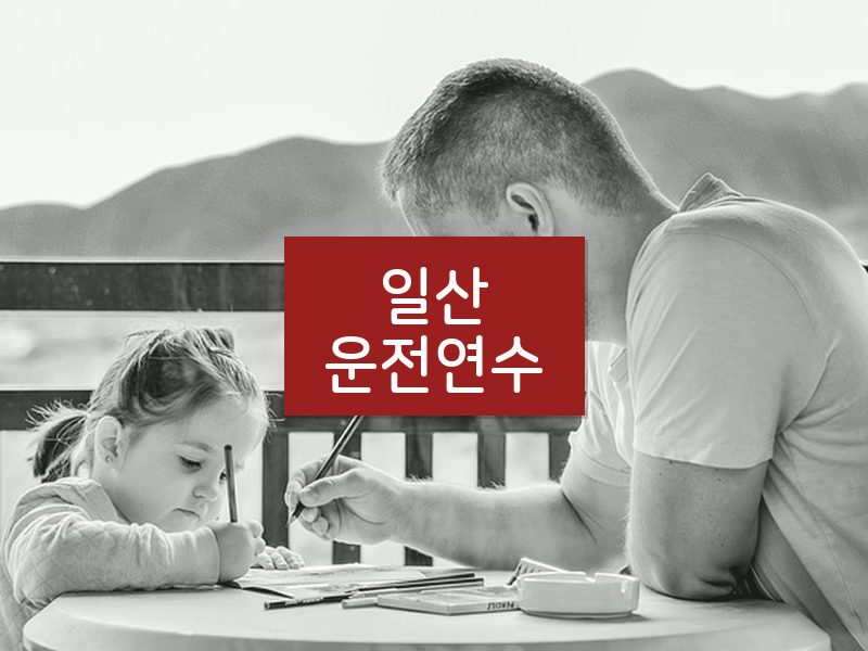 일산운전연수 후기