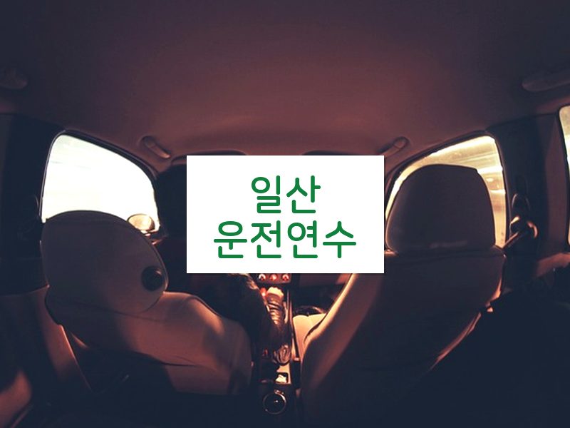 일산운전연수 후기
