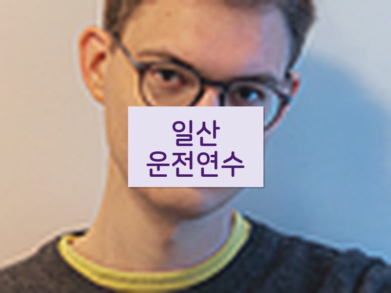 일산운전연수 후기