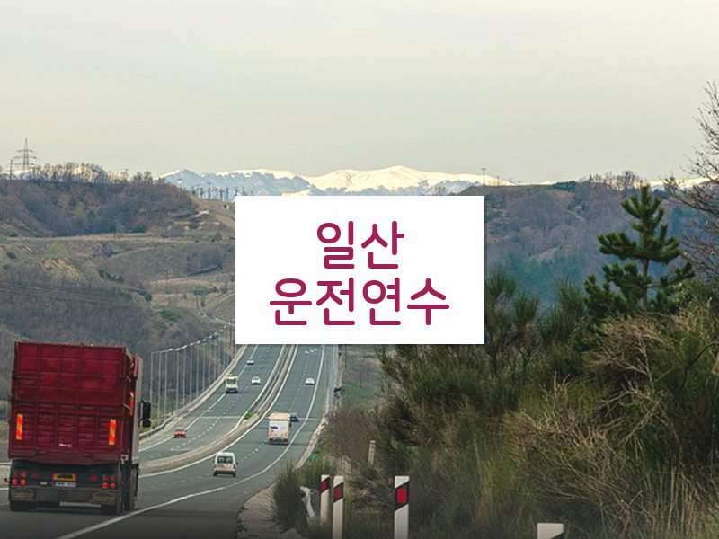 일산운전연수 후기