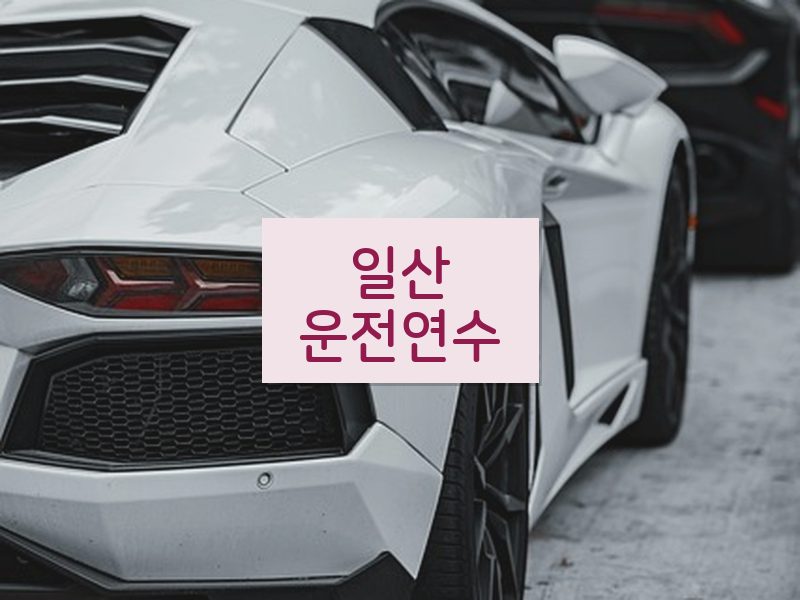 일산운전연수 후기