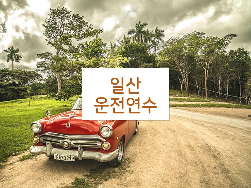 일산운전연수 후기