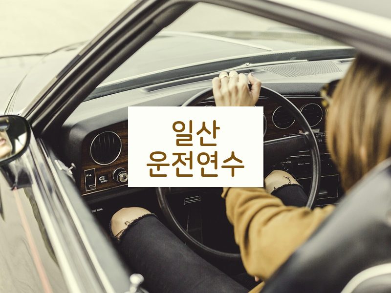 일산운전연수 후기