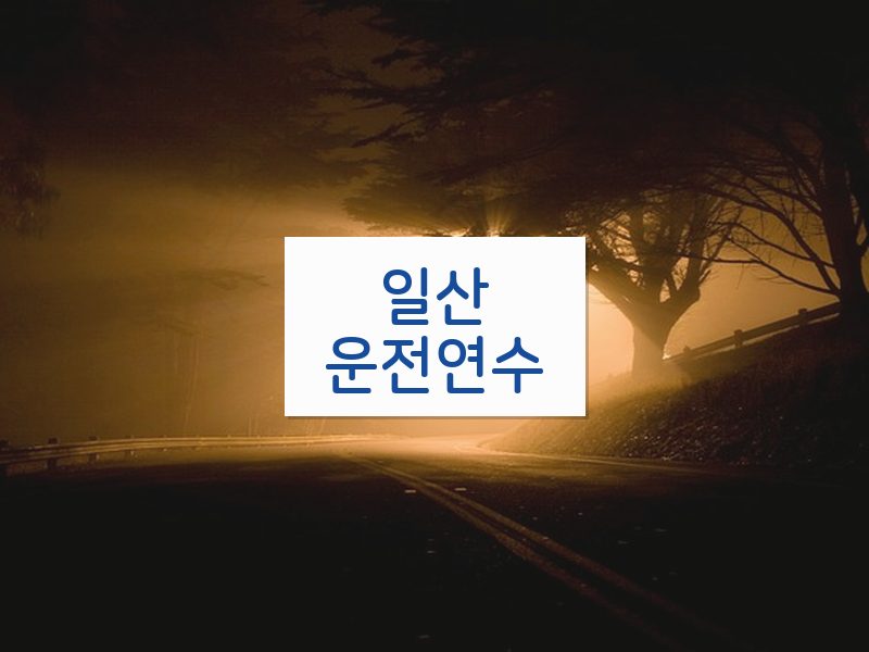 일산운전연수 후기