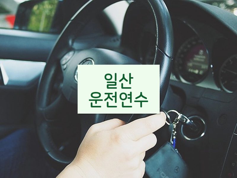 일산운전연수 후기