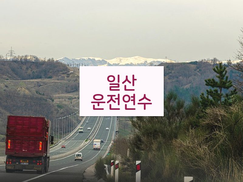 일산운전연수 후기