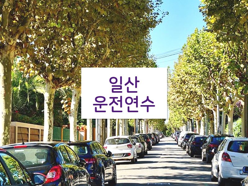 일산운전연수 후기