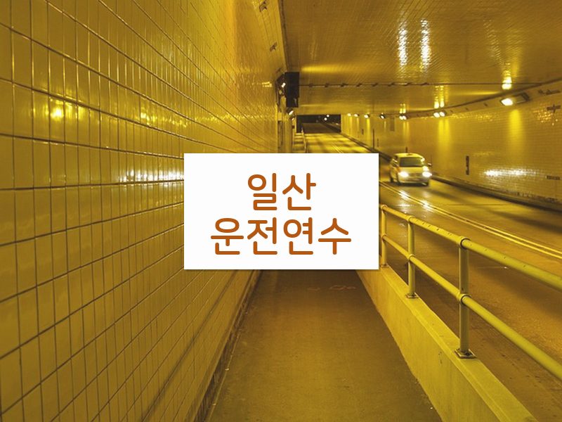 일산운전연수 후기