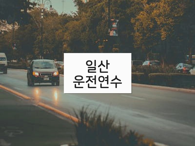 일산운전연수 후기
