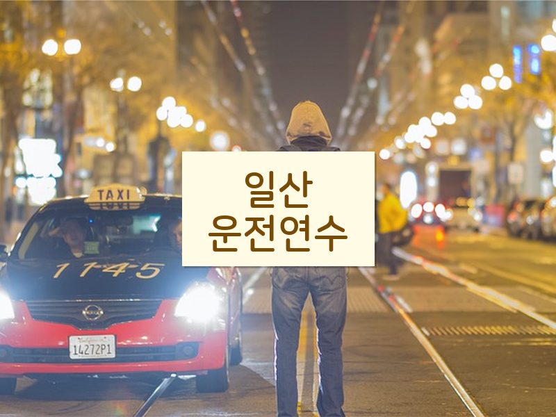 일산운전연수 후기