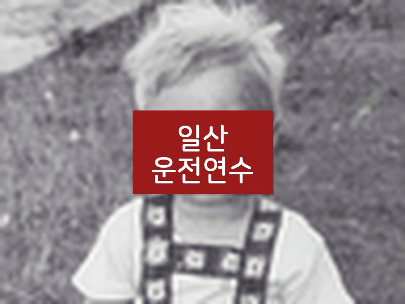 일산운전연수 후기