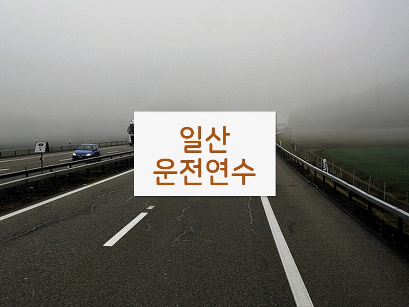 일산운전연수 후기