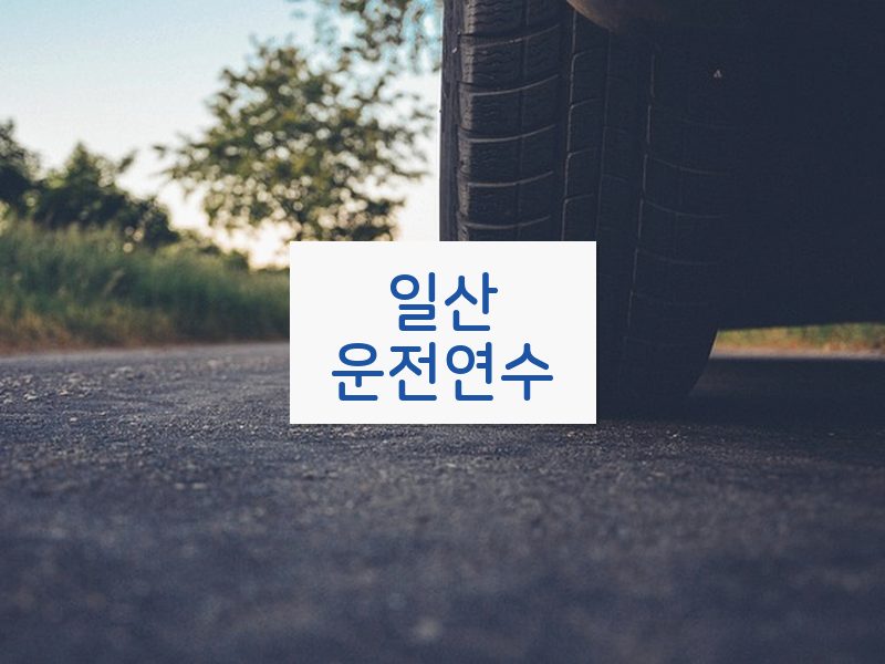 일산운전연수 후기