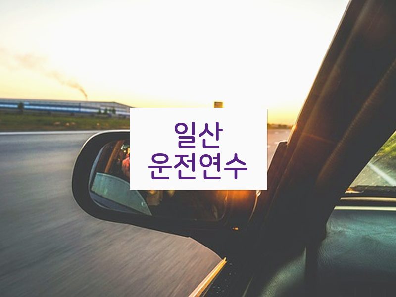 일산운전연수 후기