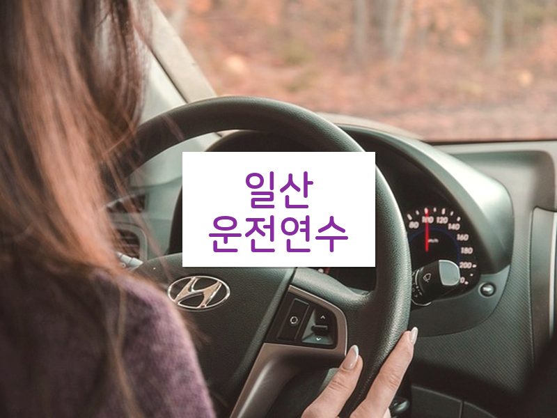 일산운전연수 후기