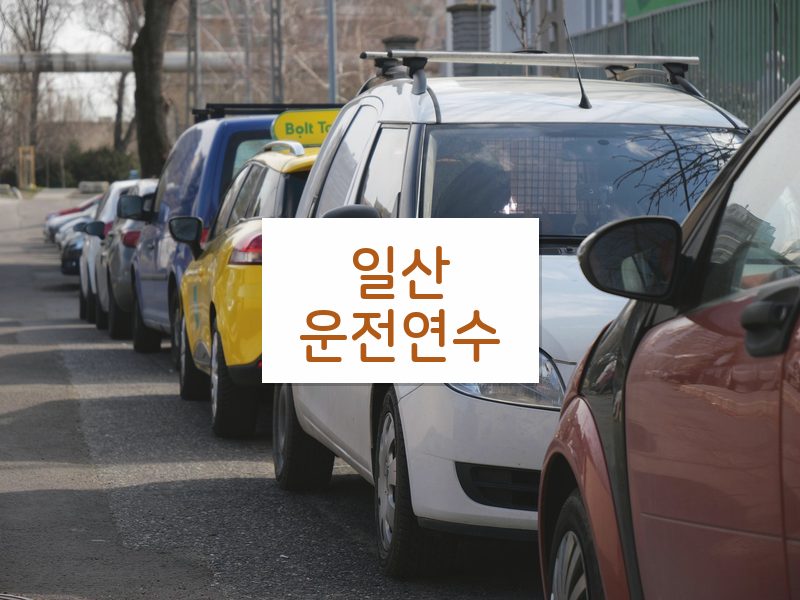 일산운전연수 후기