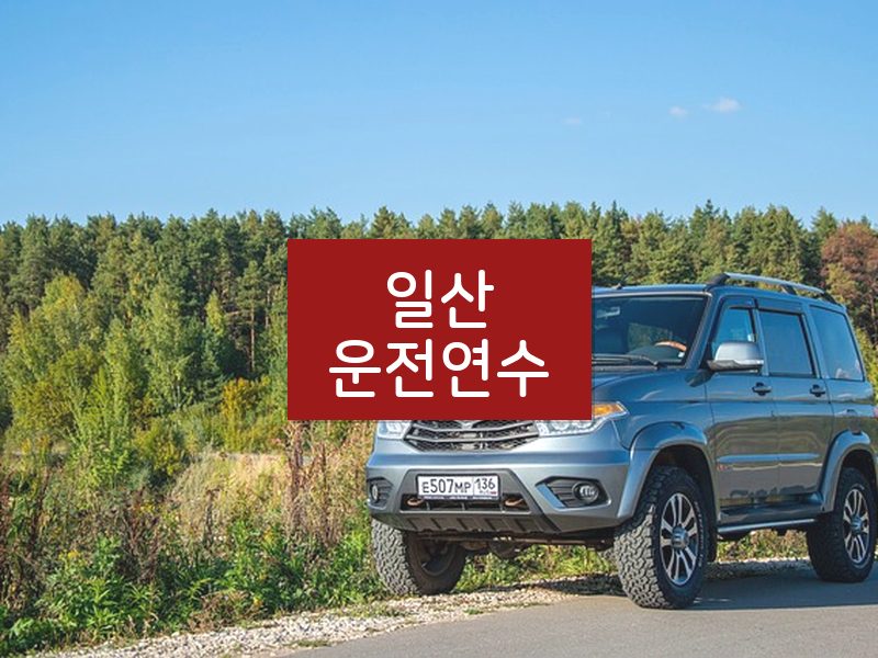 일산운전연수 후기
