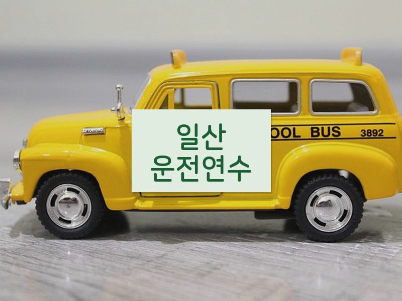 일산운전연수 후기