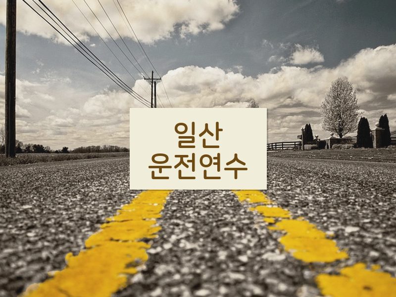 일산운전연수 후기