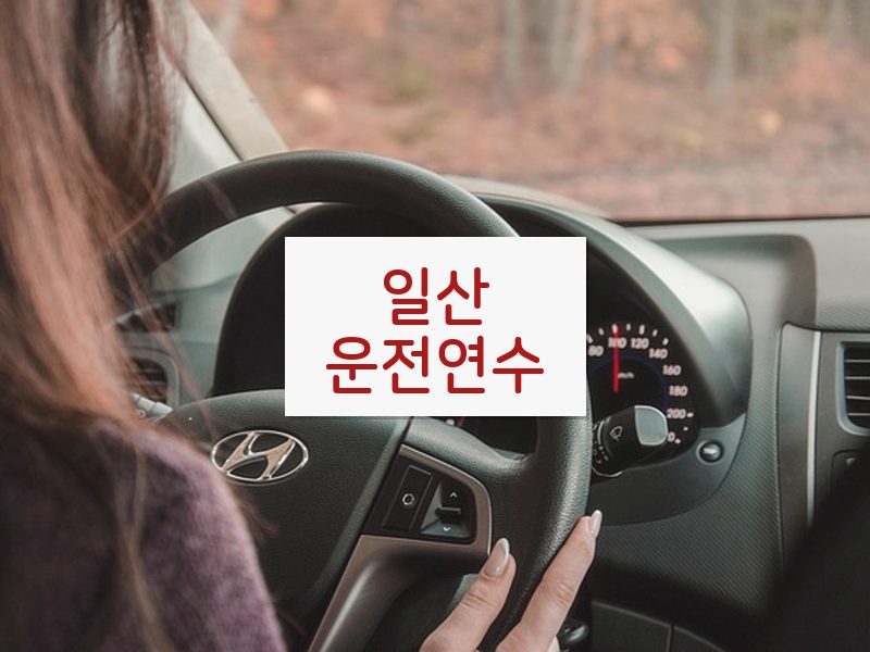 일산운전연수 후기