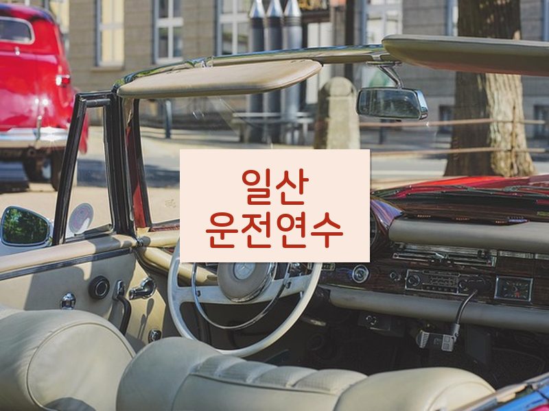 일산운전연수 후기