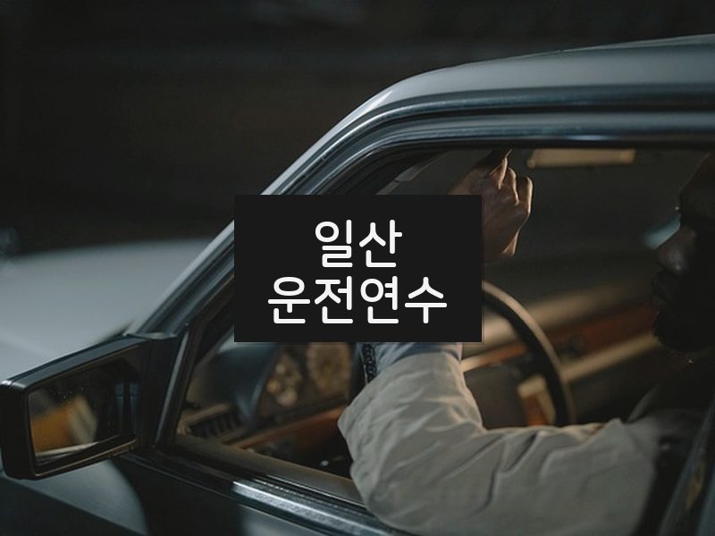 일산운전연수 후기