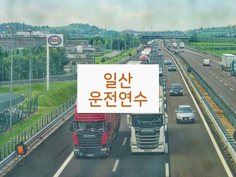 일산운전연수 후기