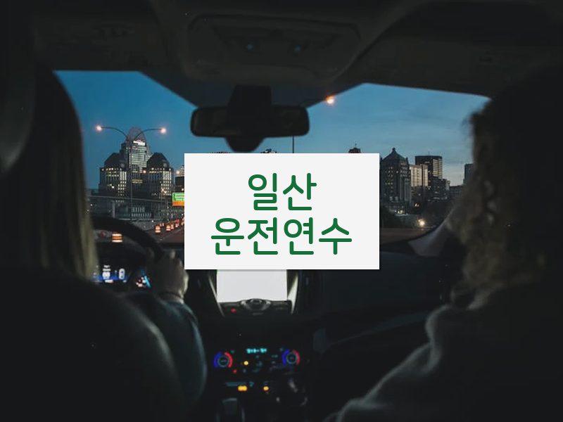 일산운전연수 후기