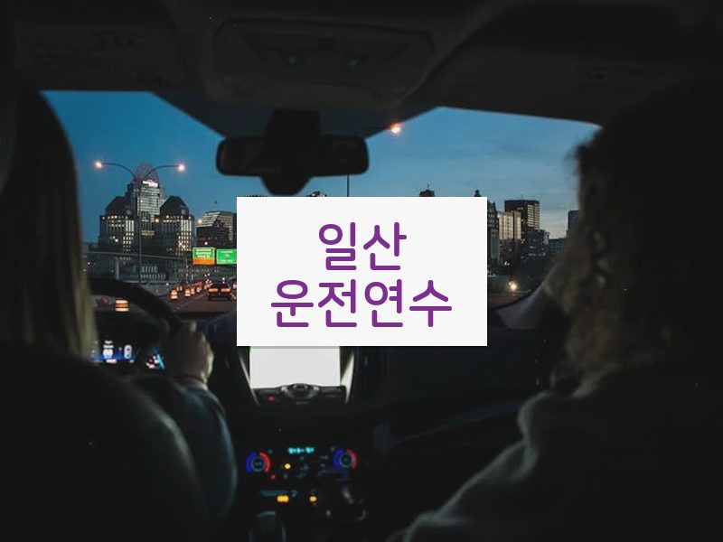 일산운전연수 후기