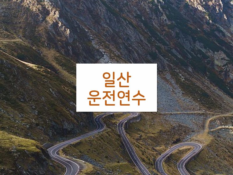 일산운전연수 후기