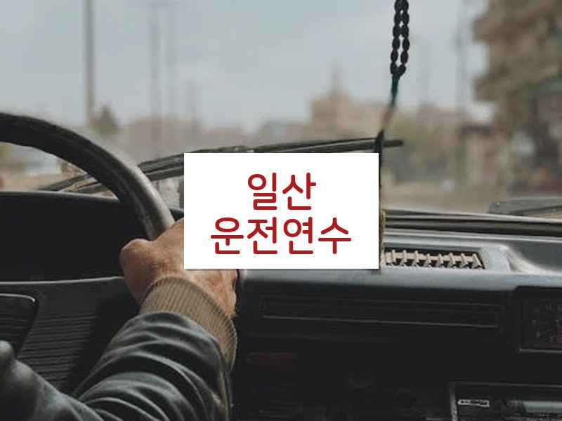 일산운전연수 후기