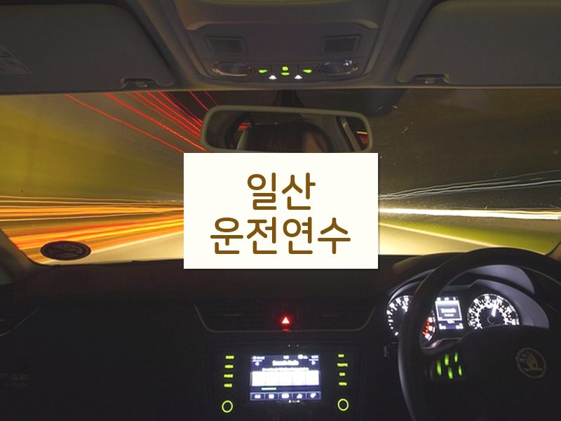 일산운전연수 후기