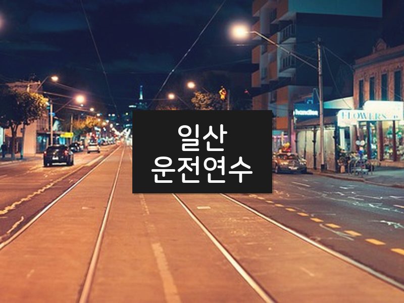 일산운전연수 후기