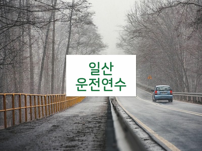 일산운전연수 후기