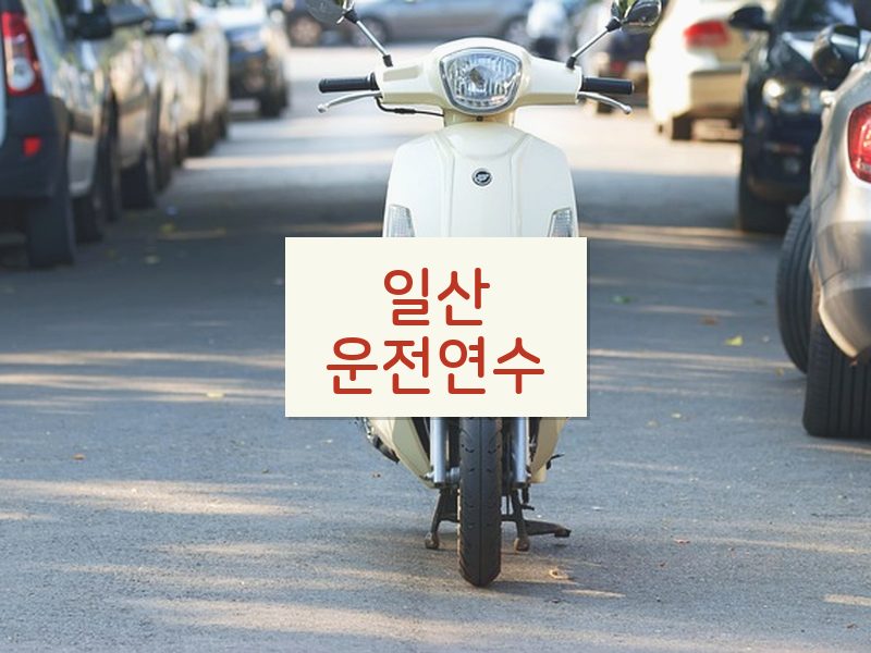 일산운전연수 후기