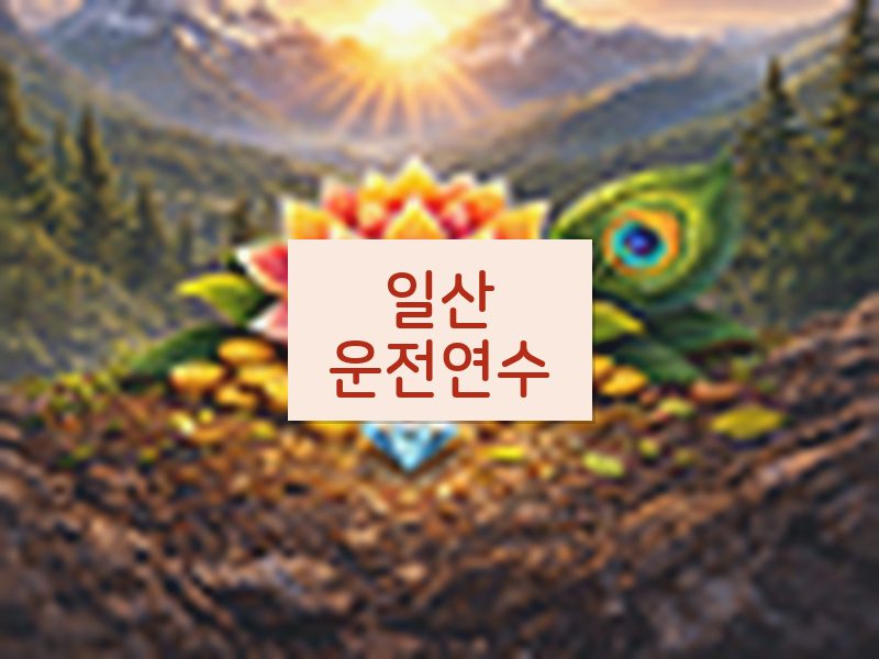 일산운전연수 후기