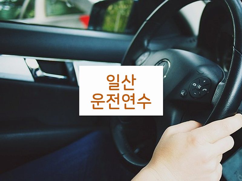 일산운전연수 후기