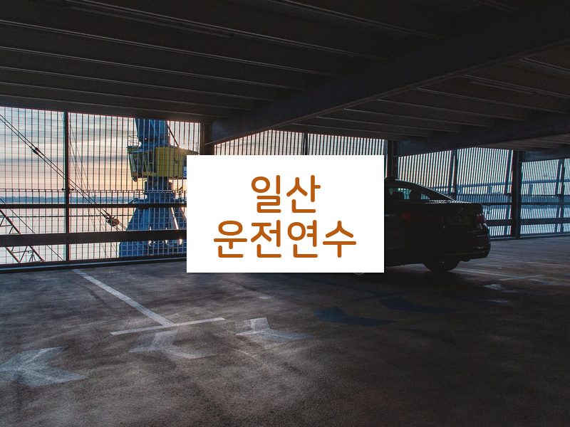 일산운전연수 후기