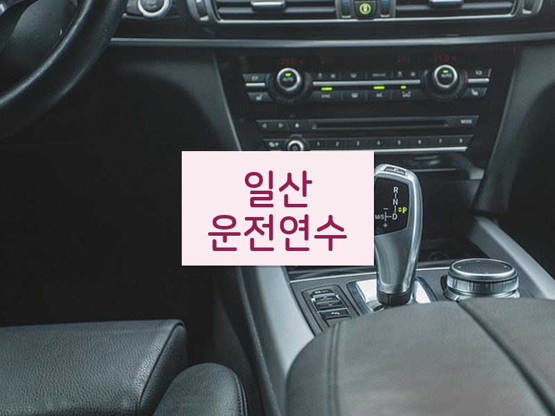 일산운전연수 후기