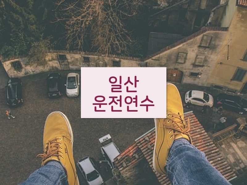 일산운전연수 후기