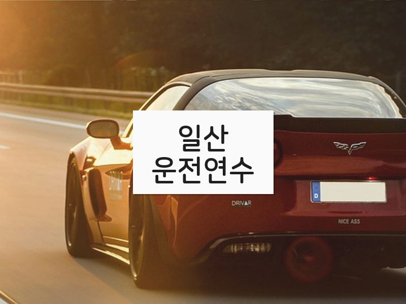 일산운전연수 후기
