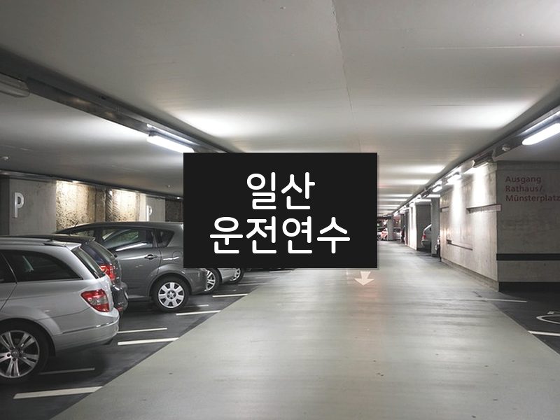 일산운전연수 후기