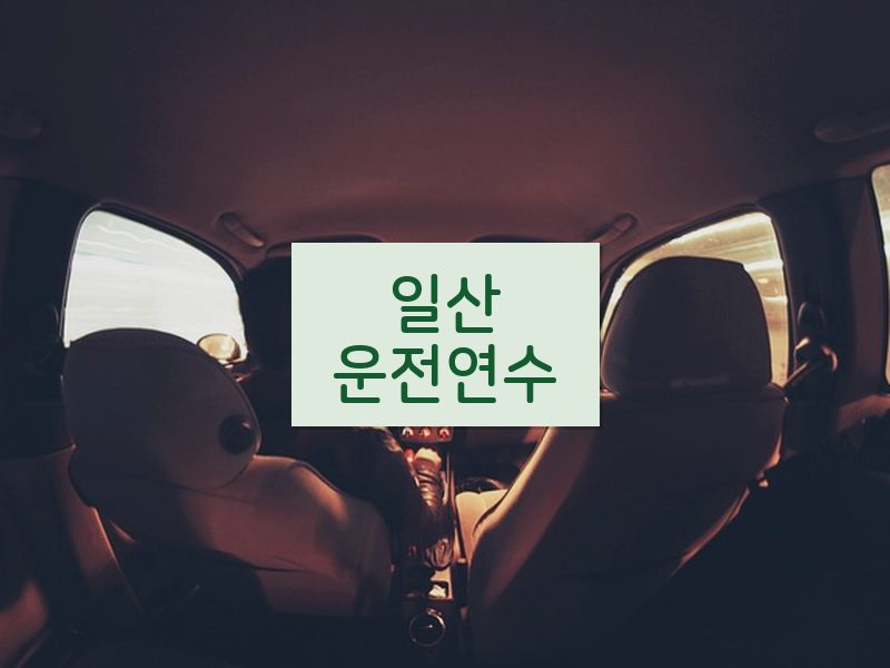 일산운전연수 후기